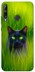 Чехол Cat in the grass для Huawei Y7p