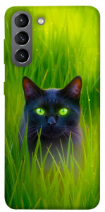 Чехол Cat in the grass для Galaxy S21