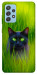 Чехол Cat in the grass для Galaxy A52