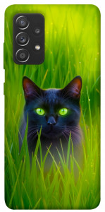 Чехол Cat in the grass для Samsung Galaxy A72 4G
