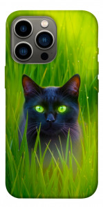 Чохол Cat in the grass для iPhone 13 Pro