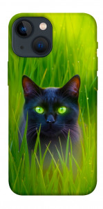 Чехол Cat in the grass для iPhone 13 mini