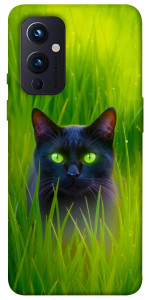 Чохол Cat in the grass для OnePlus 9