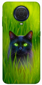 Чехол Cat in the grass для Nokia G20