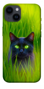 Чохол Cat in the grass для iPhone 14
