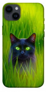 Чехол Cat in the grass для iPhone 14 Plus