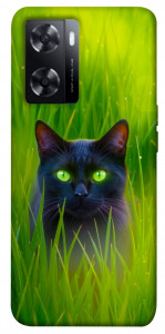Чохол Cat in the grass для Oppo A57s
