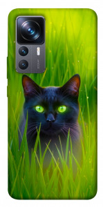Чехол Cat in the grass для Xiaomi 12T