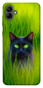 Чохол Cat in the grass для Galaxy A04
