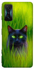 Чохол Cat in the grass для Xiaomi Redmi K50 Gaming