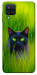 Чехол Cat in the grass для Galaxy M12