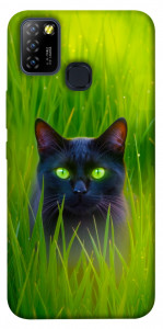 Чохол Cat in the grass для Infinix Hot 10 Lite
