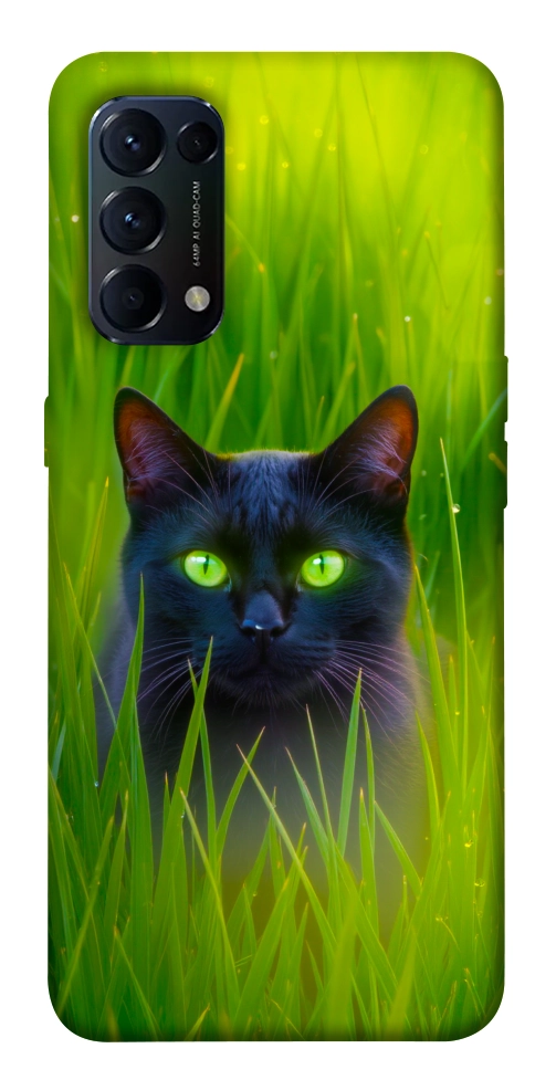 Чехол Cat in the grass для Oppo Reno 5 4G