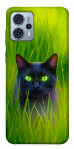 Чохол Cat in the grass для Motorola Moto G23