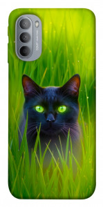 Чохол Cat in the grass для Motorola Moto G31