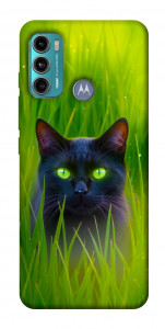 Чехол Cat in the grass для Motorola Moto G60