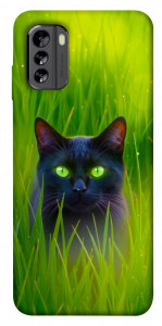 Чохол Cat in the grass для Nokia G60