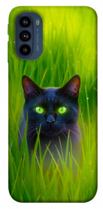 Чехол Cat in the grass для Motorola Moto G41