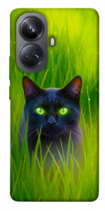 Чехол Cat in the grass для Realme 10 Pro+