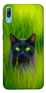 Чехол Cat in the grass для Huawei Y6 Pro (2019)