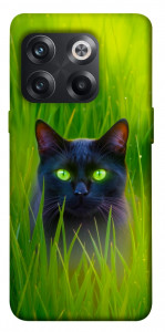 Чохол Cat in the grass для OnePlus 10T
