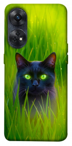 Чохол Cat in the grass для Oppo Reno 8 T 4G