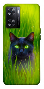 Чохол Cat in the grass для OnePlus Nord N20 SE