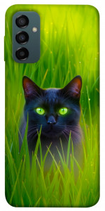Чехол Cat in the grass для Galaxy M34 5G