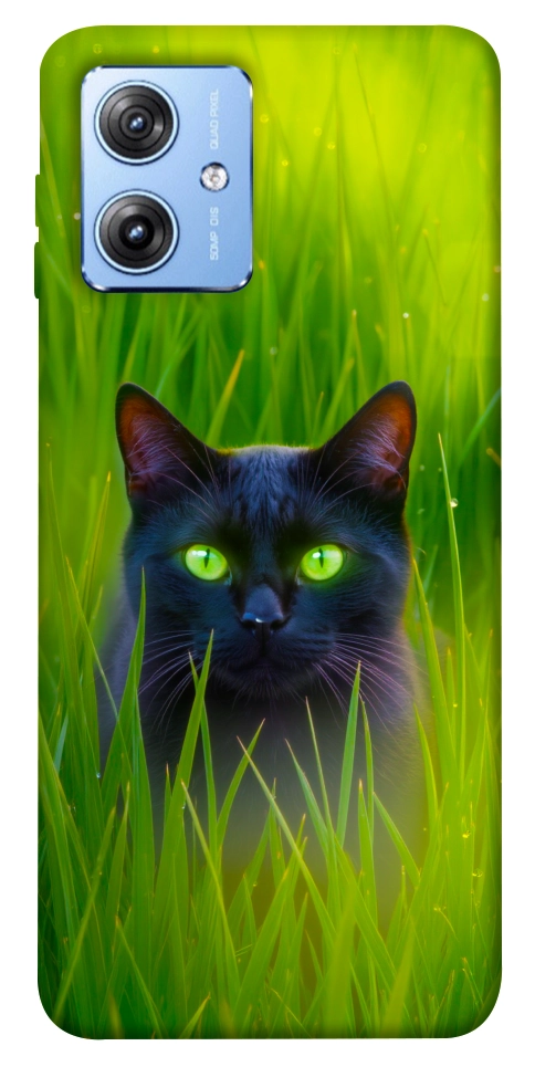 Чехол Cat in the grass для Motorola Moto G84