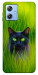 Чехол Cat in the grass для Motorola Moto G84