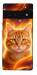 Чехол Fire cat для Google Pixel 6 Pro