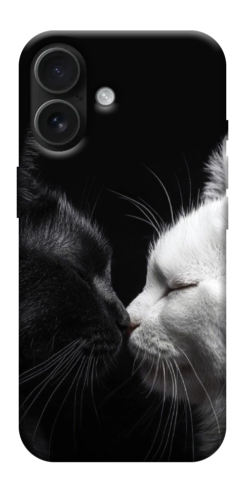 Чехол Black and white cats для iPhone 17