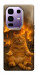 Чехол Burning cat для Infinix Note 50 Pro+