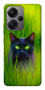 Чохол Cat in the grass для Xiaomi Redmi Note 13 Pro+