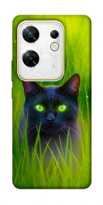 Чохол Cat in the grass для Infinix Zero 30 4G