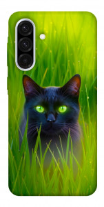 Чохол Cat in the grass для Galaxy A56 5G