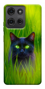 Чехол Cat in the grass для Motorola Moto G75 5G