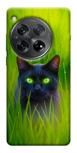 Чехол Cat in the grass для OnePlus 12