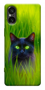Чехол Cat in the grass для Sony Xperia 5 V