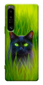 Чехол Cat in the grass для Sony Xperia 1 IV