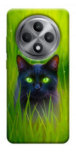 Чохол Cat in the grass для Oppo Reno 12 F 4G