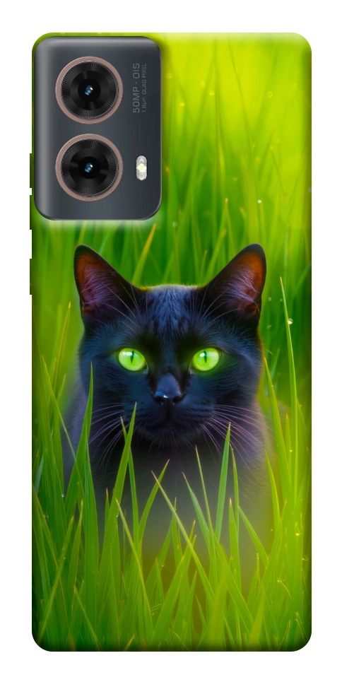 Чехол Cat in the grass для Motorola Moto G85