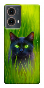 Чехол Cat in the grass для Motorola Moto G85