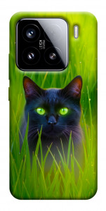Чехол Cat in the grass для Xiaomi 15
