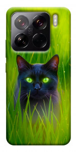 Чохол Cat in the grass для Xiaomi 15 Pro
