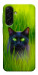 Чехол Cat in the grass для Galaxy A17 5G