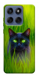 Чохол Cat in the grass для Motorola Edge 60 Fusion