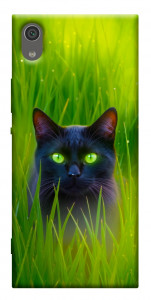 Чехол Cat in the grass для Sony Xperia XA1