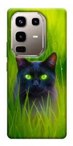 Чехол Cat in the grass для Infinix Note 50 Pro 4G