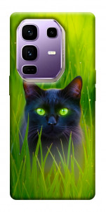 Чехол Cat in the grass для Infinix Note 50 Pro+